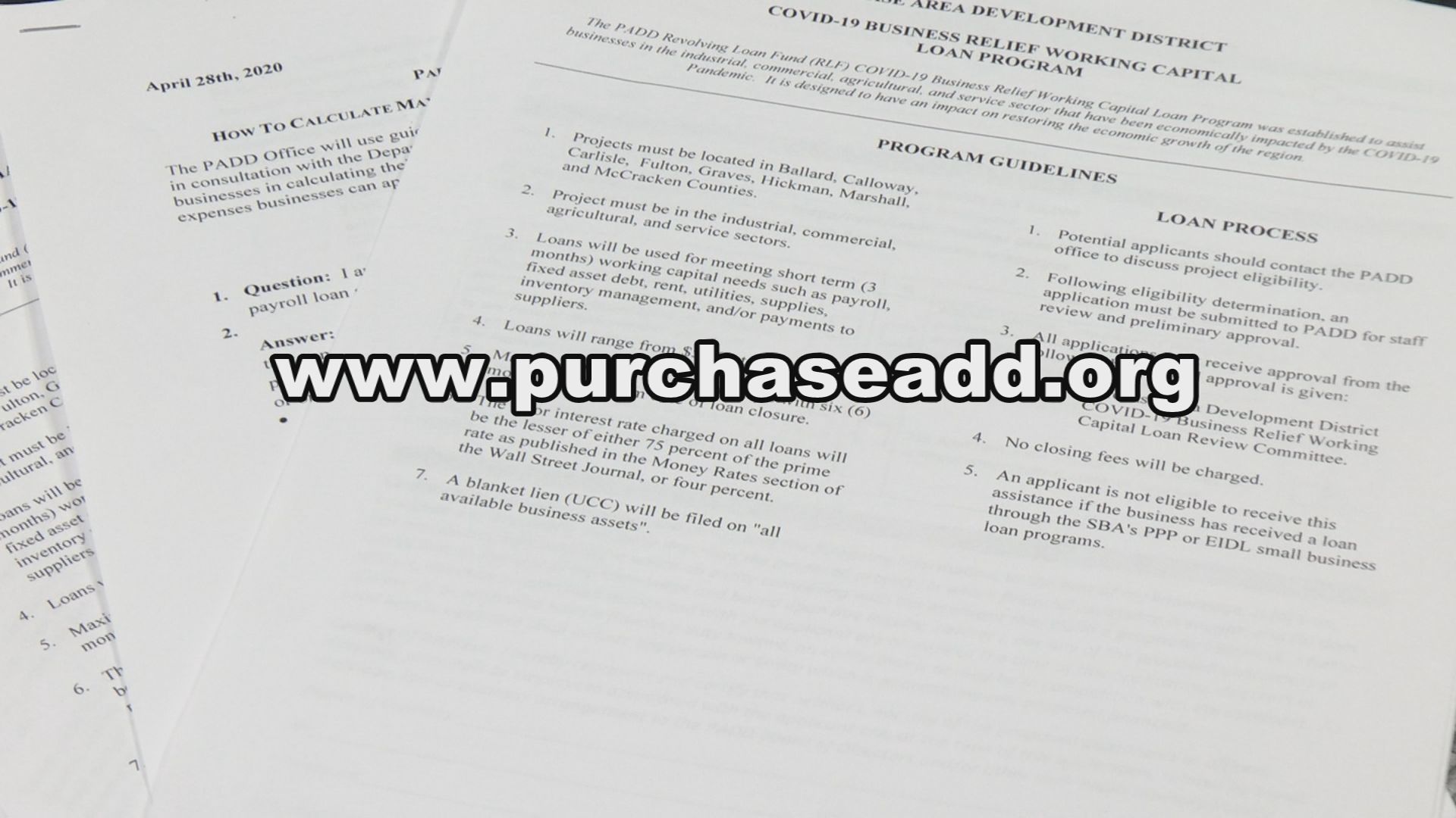 PADD WEBSITE.jpg